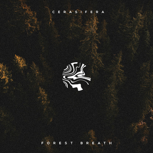 美女写真福利视频
