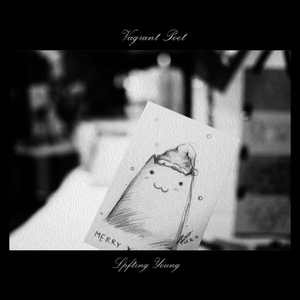 美女写真福利视频
